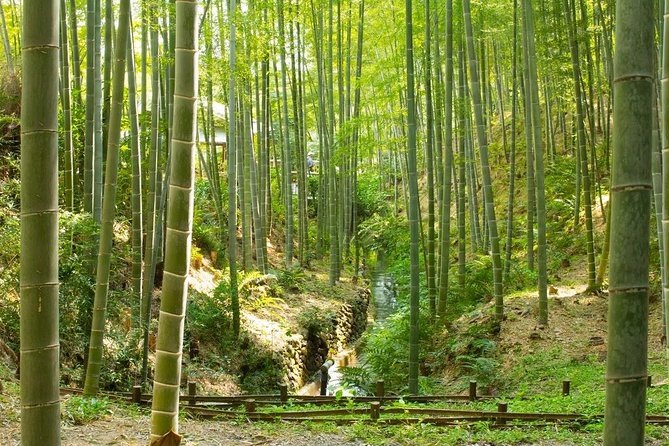 Kyoto Highlights: Arashiyama & Fushimi Inari by Private Car - What to Expect at Each Step, So You Don’t Feel Rushed