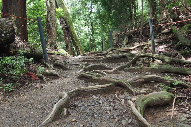 Kyoto Hiking Tour: The Nature and Legends of Kurama and Kibune - How hard is this hike? Stairs, uneven ground, and pace control