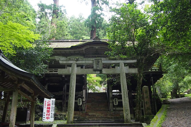 Kyoto Hiking Tour: The Nature and Legends of Kurama and Kibune - Private English guides who turn temples into stories you can use