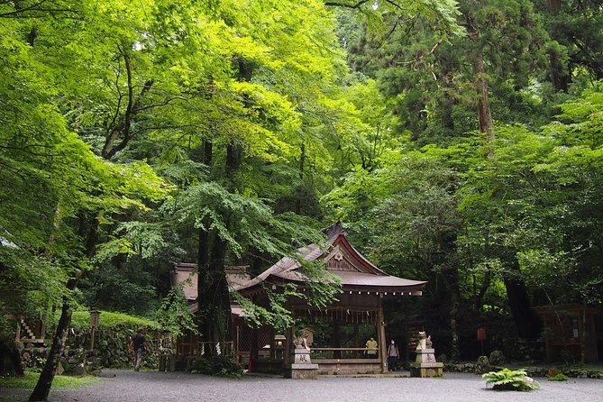 Kyoto Hiking Tour: The Nature and Legends of Kurama and Kibune - Yuki Shrine: a moved shrine, an 800-year cedar, and a protective legend