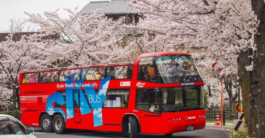 Kyoto: Hop-on Hop-off Sightseeing Bus Ticket - How the ride feels: open-top views, audio in 7 languages, and real onboard rules