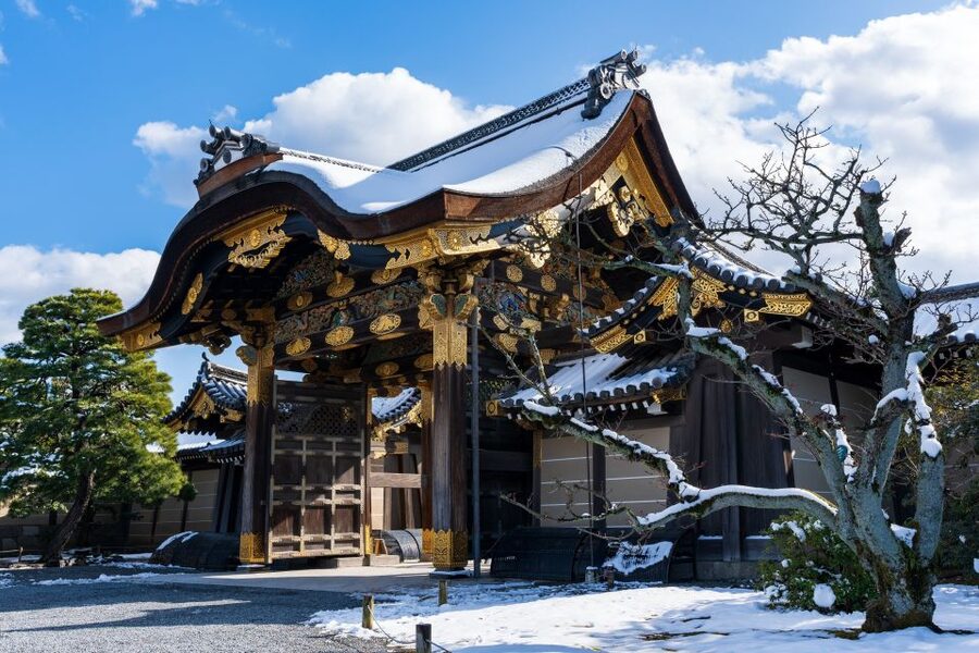Kyoto: Imperial Palace & Nijo Castle Guided Walking Tour - Price and Value: Why $49 Can Be a Good Deal