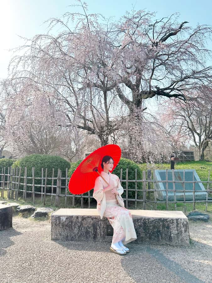 Kyoto: Kimono Rental Traditional Experience at Wargo in Gion - Should you book? My practical decision guide