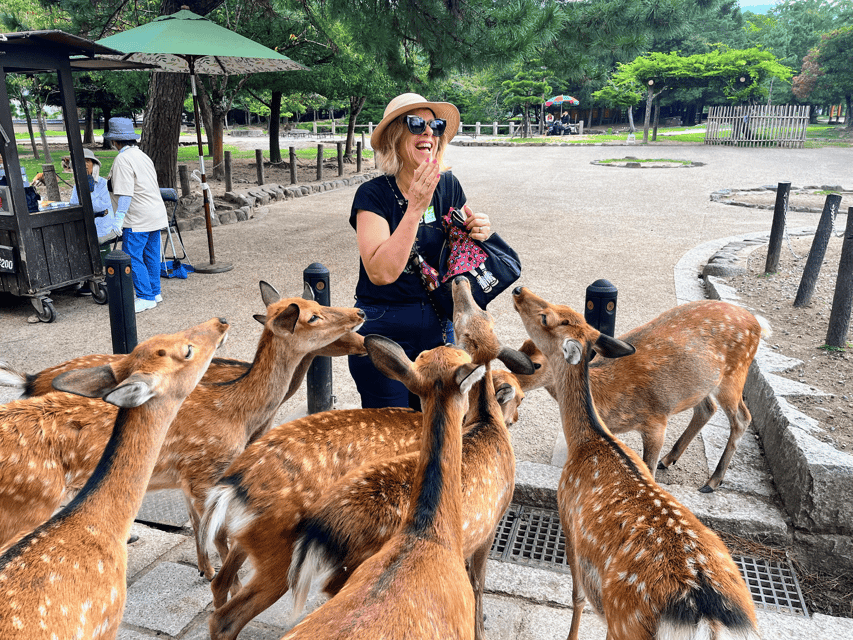 Kyoto: Nara & Traditional Matcha Experience Bus Tour - Meeting at Kyoto Station, then straight into ancient Nara