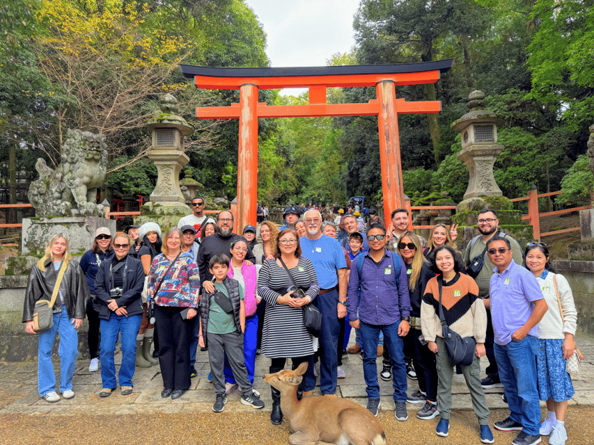 Kyoto: Nara & Traditional Matcha Experience Bus Tour - Nara Park deer time: cute, fast, and very real