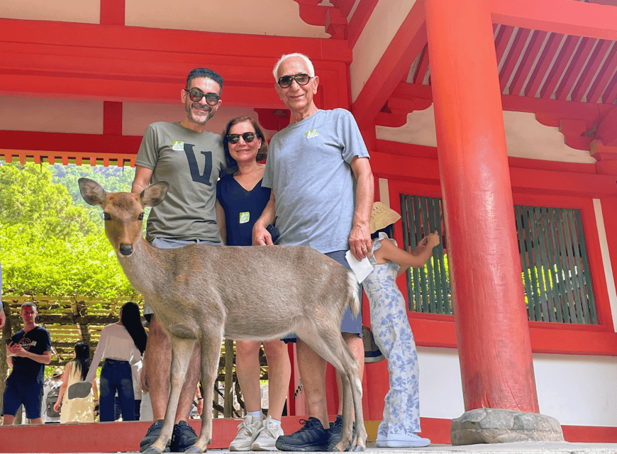 Kyoto: Nara & Traditional Matcha Experience Bus Tour - Lunch stop and why a break matters on a full-day tour
