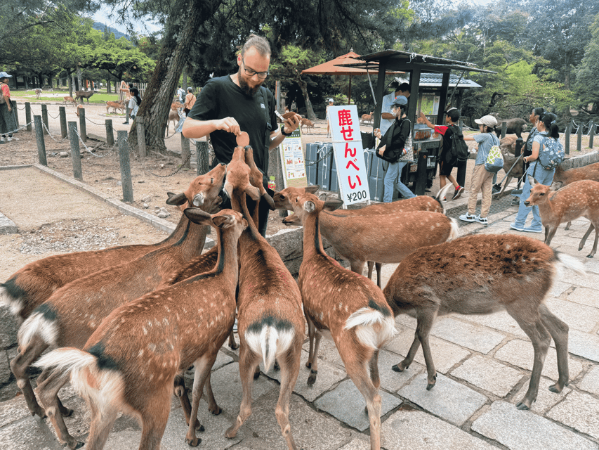 Kyoto: Nara & Traditional Matcha Experience Bus Tour - Making matcha in Uji, from powder to a drink you made