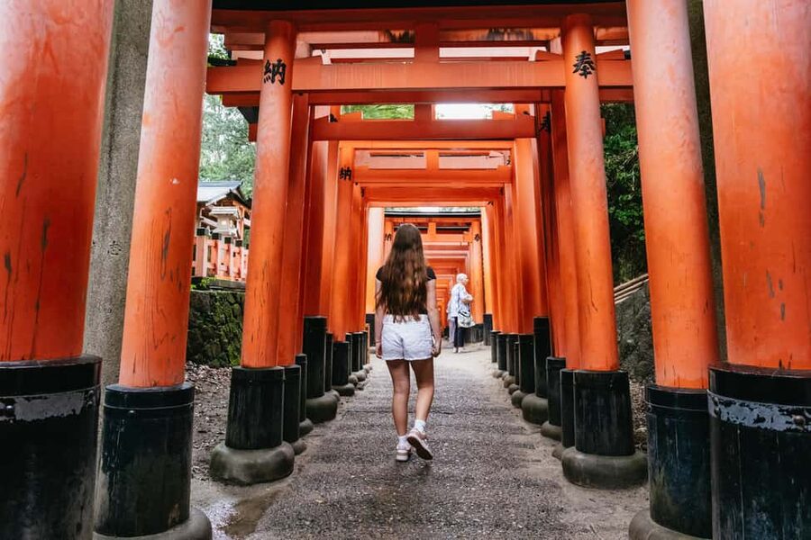 Kyoto: Nijo Castle, Kiyomizu & Fushimi Inari Guided Tour - Arashiyama Bamboo Grove Before the Crowd Wave