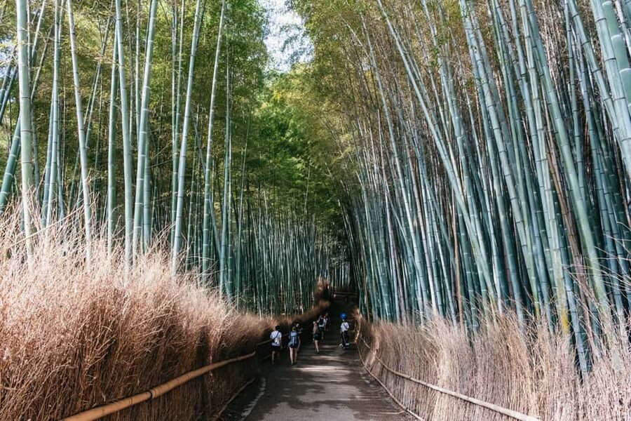 Kyoto: Nijo Castle, Kiyomizu & Fushimi Inari Guided Tour - Nijo Castle and the Nightingale Floors