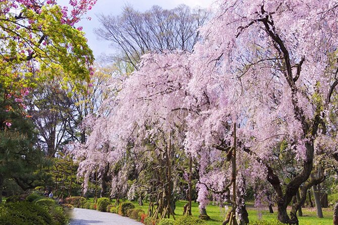 Kyoto: Nijo Castle World Heritage Guided Tour with Admission - The 90-Minute Flow: Gates, Gardens, and a Story You Can Follow