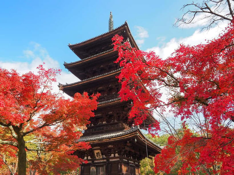 Kyoto: Ninnaji Temple Entry Ticket - Your one-day rhythm: from main temple areas to the Omuro Pilgrimage