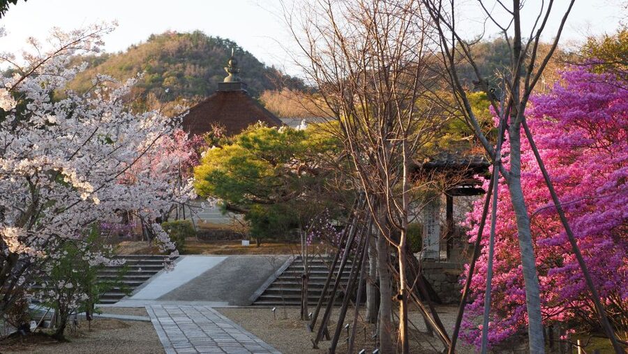 Kyoto: Ninnaji Temple Entry Ticket - Reiho-kan Museum: where cultural items make the rest of the visit click