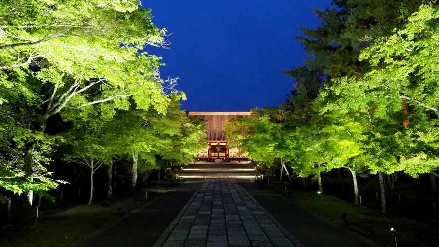 Kyoto: Ninnaji Temple Entry Ticket - Goten Palace and gardens: the calm payoff, especially in winter