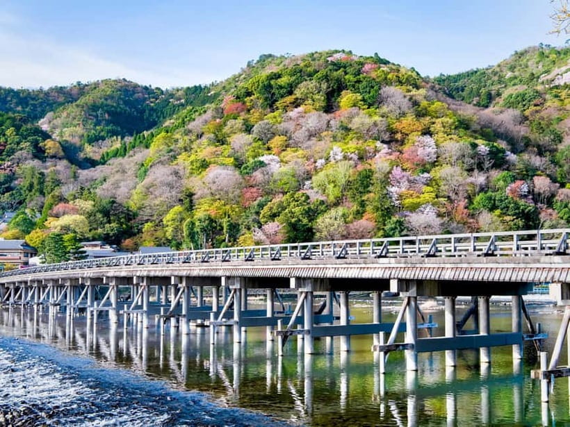 Kyoto/Osaka: Kinkakuji, Bamboo Forest, and Nara Deer Park - Nara Park and deer etiquette: shika-senbei only