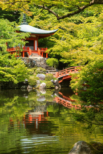 Kyoto/Osaka: Kyoto and Nara Customized Private Guided Tour - Practicalities that affect your comfort (walking, tickets, food)