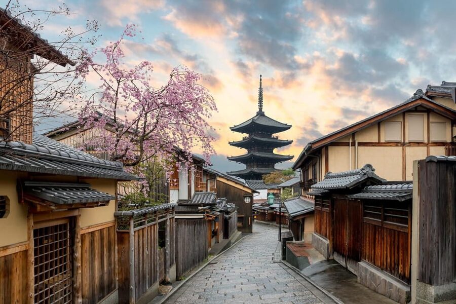 Kyoto/Osaka: Kyoto and Nara Customized Private Guided Tour - Design your day, then let the guide keep it sensible
