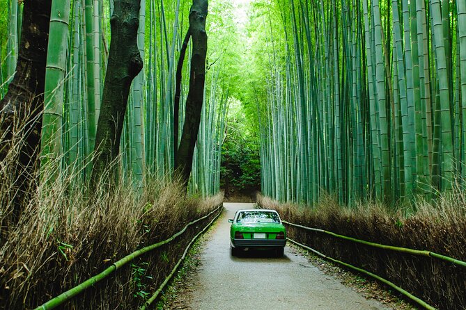 Kyoto Private 6 hour Tour: English Speaking Driver Only, No Guide - What You’re Really Paying For: Time, Comfort, and Control