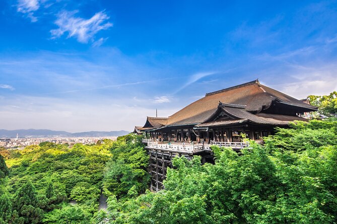 Kyoto Private 6 hour Tour: English Speaking Driver Only, No Guide - Stop 5: Fushimi Inari Taisha for the Torii Gate Maze