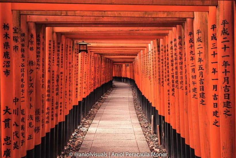 Kyoto: Private Customizable Day Tour with Guide and Vehicle - The value math: why this price can work for groups of up to 6