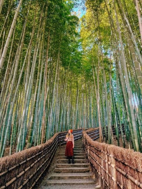 Kyoto: Private Customizable Day Tour with Guide and Vehicle - Crowd strategy: making one day feel bigger