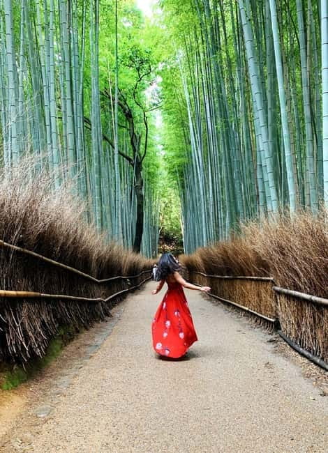 Kyoto: Private Customizable Day Tour with Guide and Vehicle - The guide role: English support and practical help