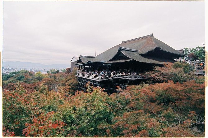 Kyoto Private Day Tour with English-Speaking Driver from Kyoto - Golden Pavilion time at Kinkaku-ji