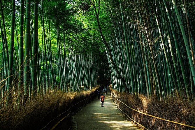 Kyoto: Private Flexible 3 hours tour with a local guide - Stop 2: Kiyomizu-dera, the viewpoint factor and what you pay