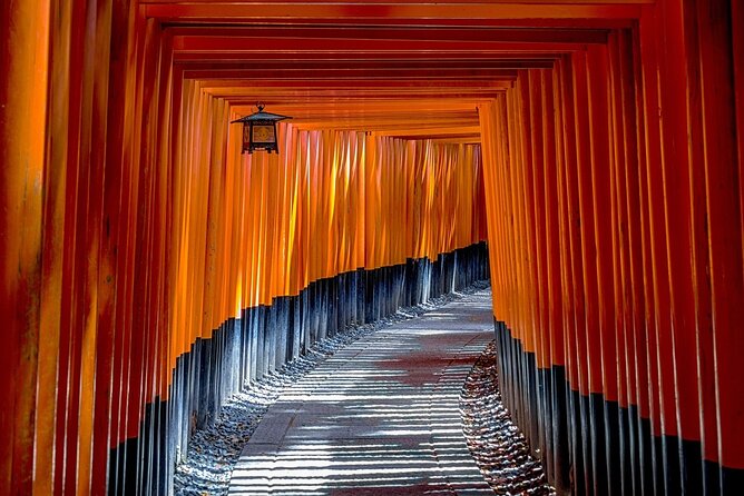 Kyoto: Private Flexible 3 hours tour with a local guide - Why the guide is more than translation and directions