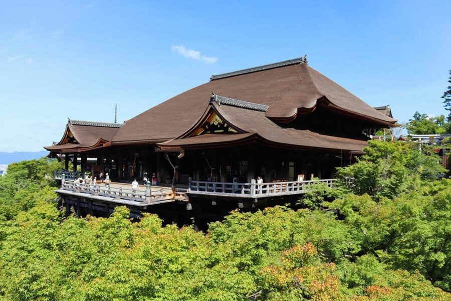 Kyoto: Private Full-Day Tour by Car - Key things to love about this Kyoto car day
