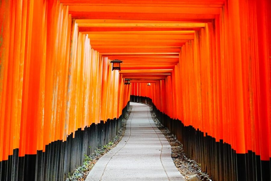 Kyoto: Private Full-Day Tour by Car - A private Kyoto day that saves you from the map maze