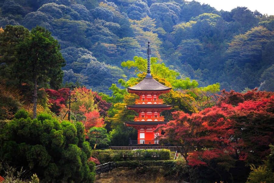 Kyoto: Private Highlights Tour with Guide and Luxury Vehicle - Fushimi Inari Taisha: torii gates, sacred paths, and managing the climb