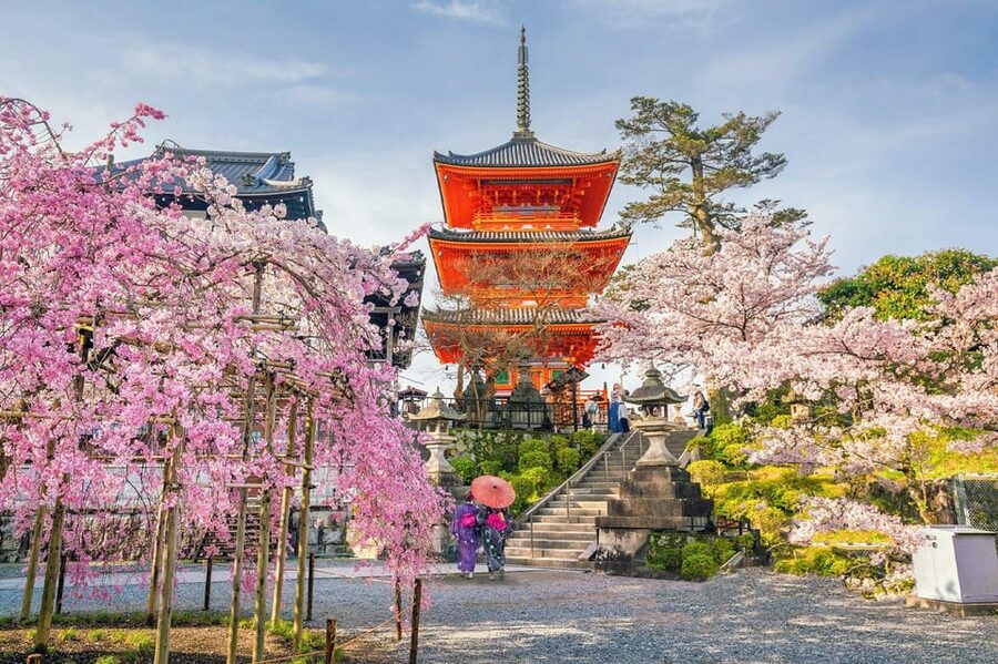 Kyoto: Private Highlights Tour with Guide and Luxury Vehicle - What makes the guides feel different, not just the route