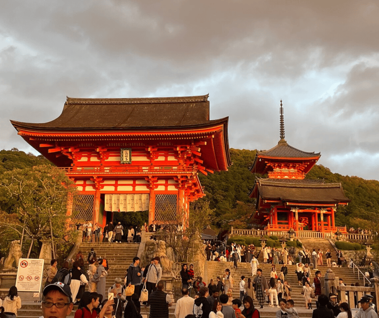 Kyoto: Private Highlights Tour with Guide and Luxury Vehicle - Arashiyama morning: Tenryu-ji calm, bamboo photos, and Monkey Park views