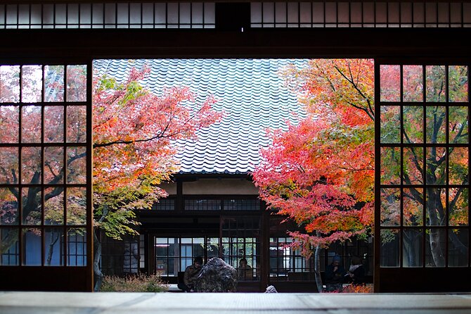 Kyoto Private Tour: One Day Highlights and Cultural Gems - Key Points You’ll Care About