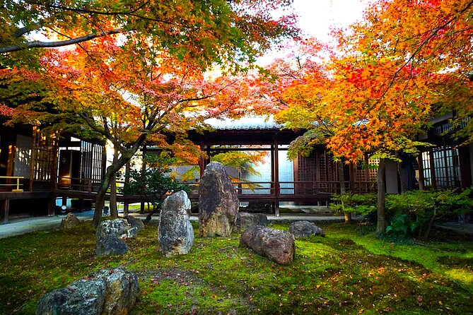 Kyoto Private Tour: One Day Highlights and Cultural Gems - Fushimi Inari-taisha: Thousands of Torii, One Guided Walk