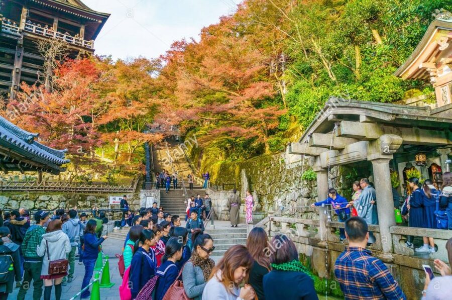 Kyoto: Private Tour with Local Licensed Guide - How the Tour Gets Customized: 4, 6, or 8 Hours