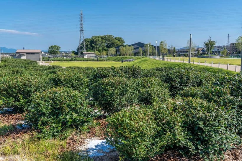 Kyoto: Tea Museum Tickets and Matcha Grinding Experience - Should You Book the Kyoto Tea Museum and Matcha Grinding Session?