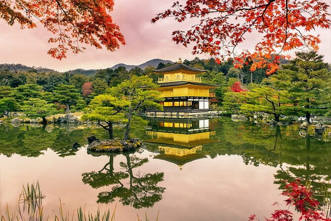 Kyoto & Uji: Full Day Sightseeing Tour from Osaka or Kyoto - Byodoin Omotesando: Tea Shops, Shopping Time, and What to Do Here