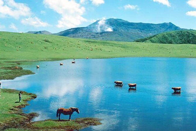 Kyushu: Aso Vocano, Grassland,Onsen and Aso shrine 1-Day Tour - Aso Shrine: calm Shinto tradition with real age