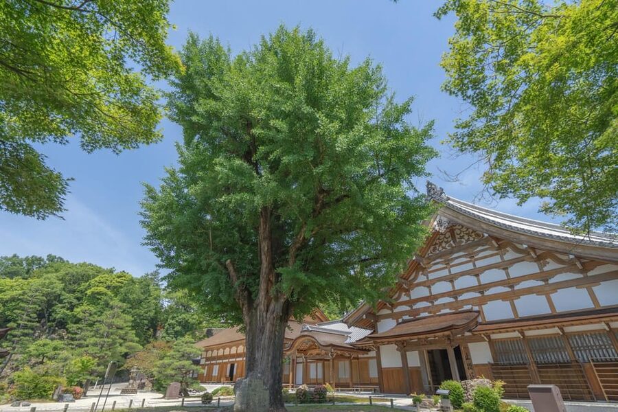 Magome-juku, Tsumago-juku & Ena-kyo 1d Bus Tour from Nagoya - Practical tips that make this day trip feel easy