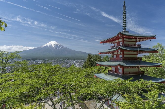 Majestic Mt. Fuji & Hakone Retreat -A Private Day Tour from Tokyo - A One-Day Link Between Fuji and Hakone (Without the Train Shuffle)