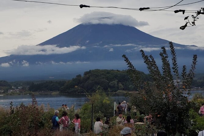 Majestic Mt. Fuji & Hakone Retreat -A Private Day Tour from Tokyo - Stop-by-Stop: Chureito Pagoda and Arakura Fuji Sengen Shrine