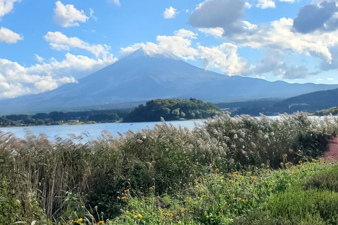 Majestic Mt. Fuji & Hakone Retreat -A Private Day Tour from Tokyo - Hakone Essentials: Lake Ashinoko and the Volcanic Pull of Owakudani