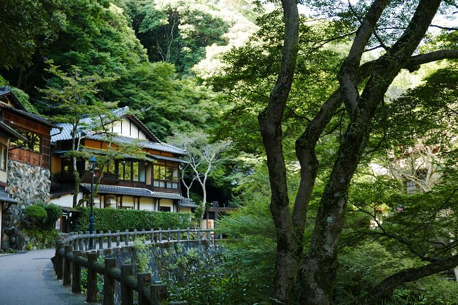 Minoh Waterfall and nature walk through the Minoh Park - The Minoh Waterfall: 30 minutes, sound, mist, and timing tips