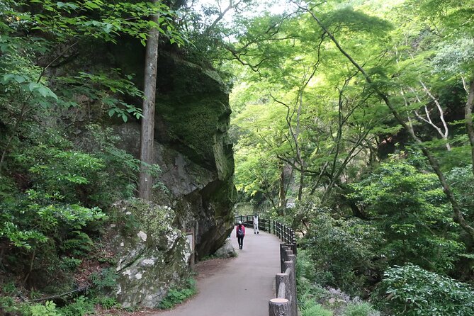 Minoh Waterfall and nature walk through the Minoh Park - Lunch included: how it improves a half-day nature plan