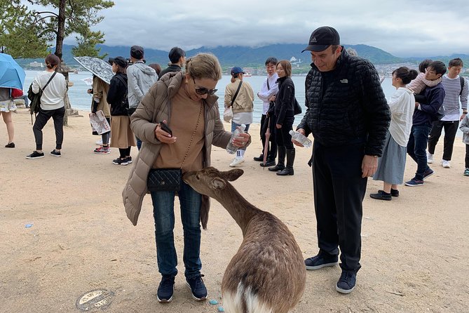 Miyajima Half-day Private Tour with Government Licensed Guide - Meeting Point and Ferry Timing From Hiroshima