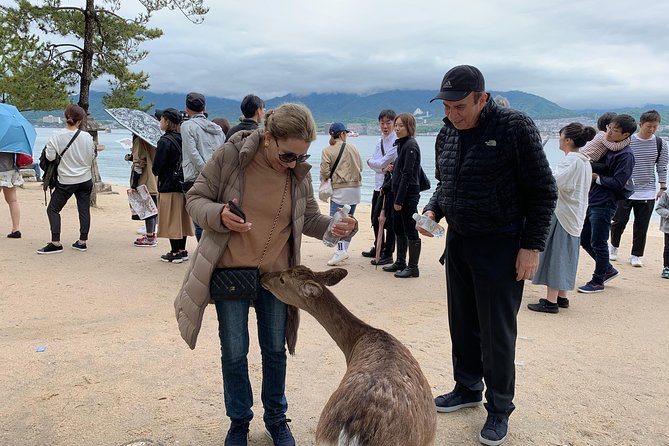 Miyajima Half-day Private Tour with Government Licensed Guide - Price and Value: Is $122.70 Per Person Worth It?