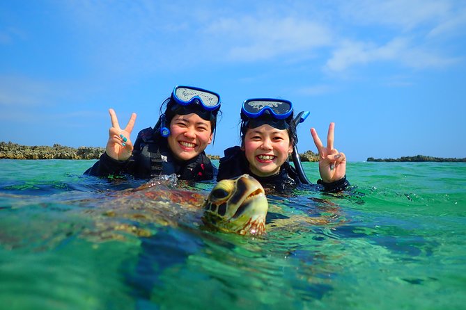 [Miyako Island/Half Day] Sea Turtle Snorkeling - Price and value, including the snorkeling equipment fee question