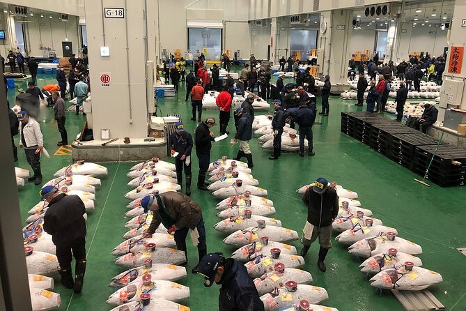 Morning Market Adventure: Toyosu & Tsukiji with Tuna Auction - Key takeaways before you go