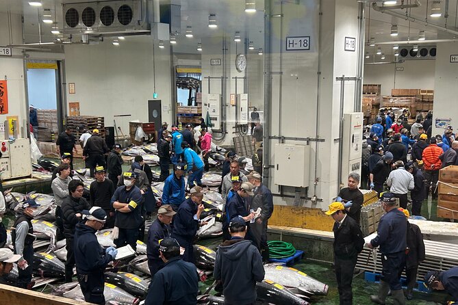 Morning Market Adventure: Toyosu & Tsukiji with Tuna Auction - Toyosu and Tsukiji together: why this morning combo works
